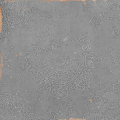 WOW ZELLIGE Decor Grey