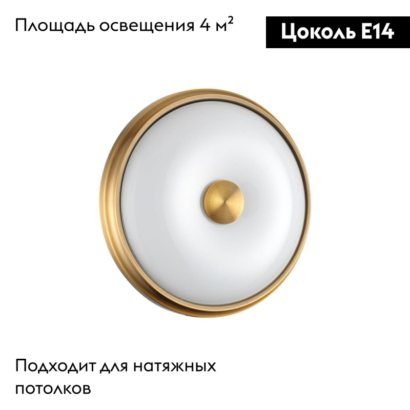 Настенно-потолочный светильник Odeon Light Pelow 4956/2