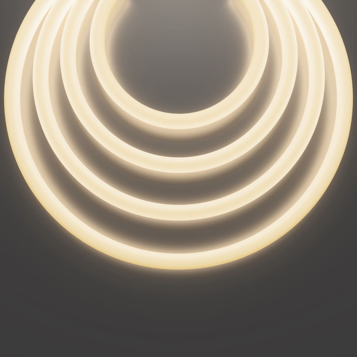 Гибкий неон Maytoni Led Strip Nemo D25 48В 12,5Вт/м 3000К IP65 20м