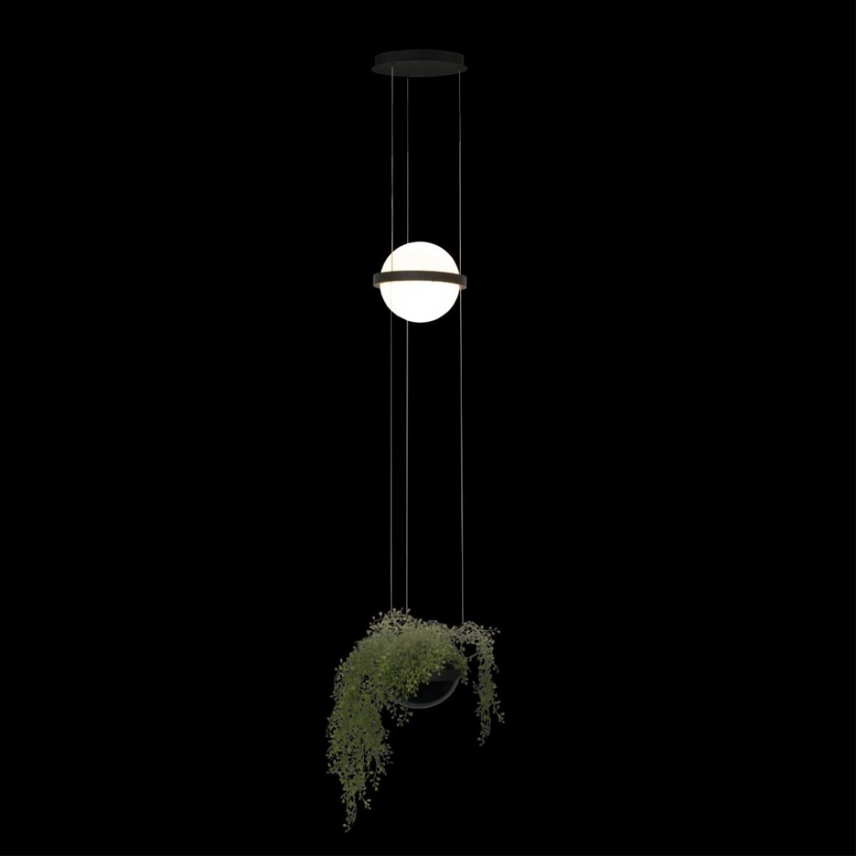 Подвесной светильник Loft IT Jardin 10121/B