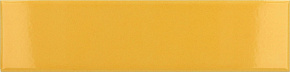 EQUIPE COSTA NOVA Yellow Glossy