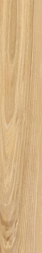 ITALON / ИТАЛОН MAISON Champagne