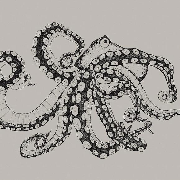 Панно Coordonne 9500800V Octopus X-Ray Ink