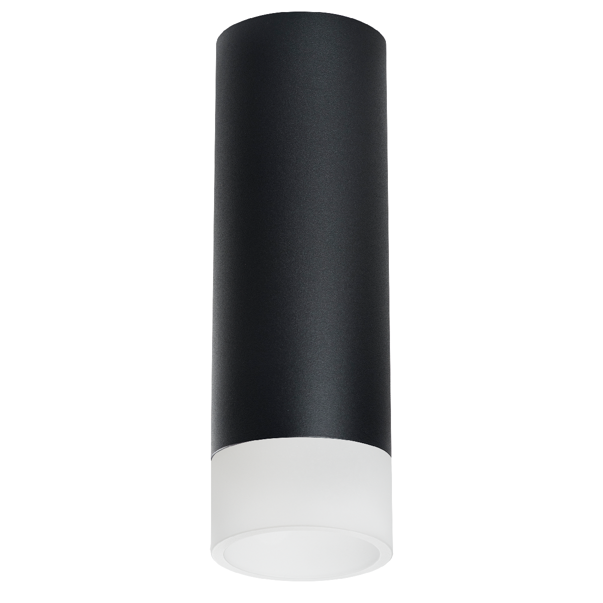 Накладной светильник Lightstar Rullo R48731 (214487+202431)