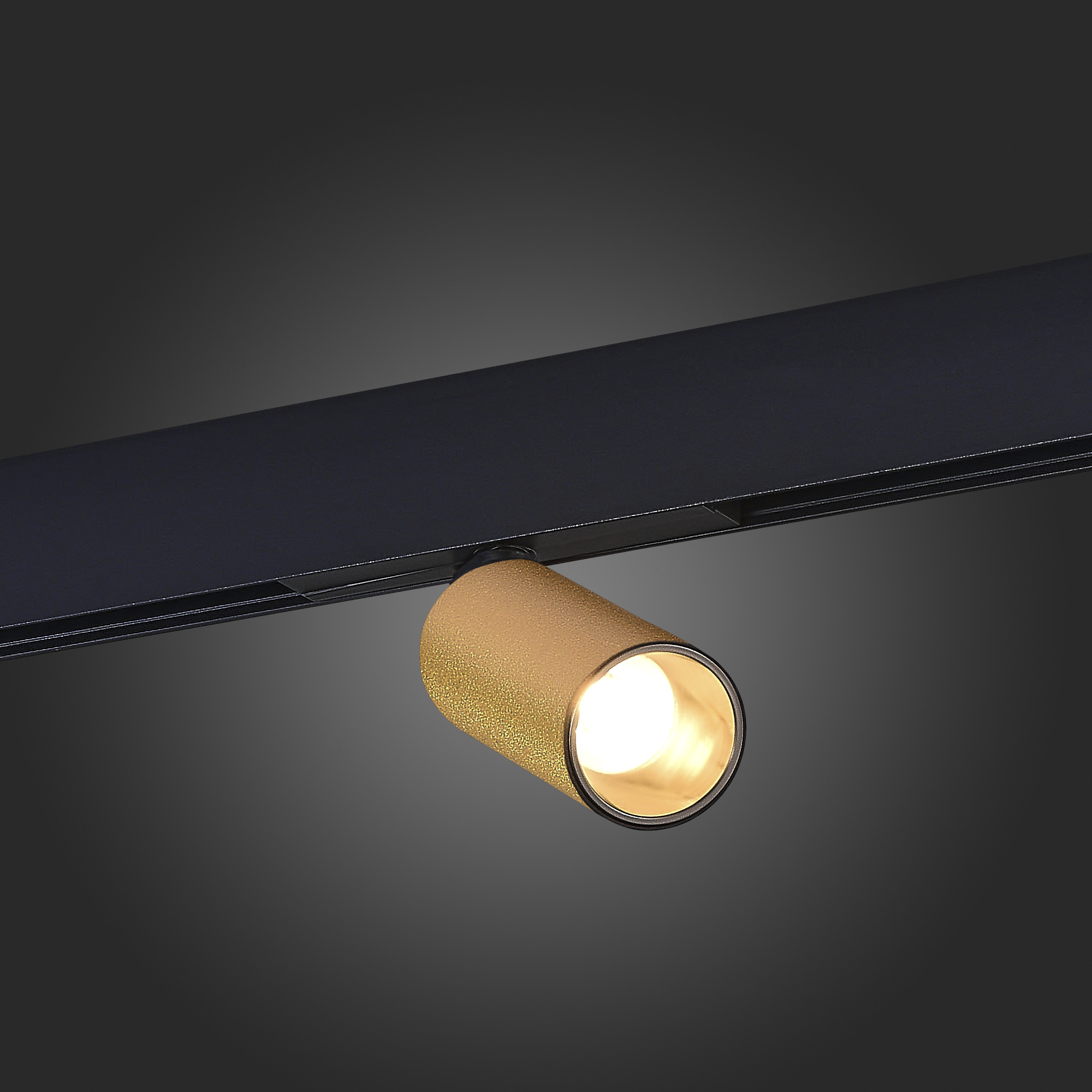 Трековый светильник ST Luce Skyline 48 ST807.246.12