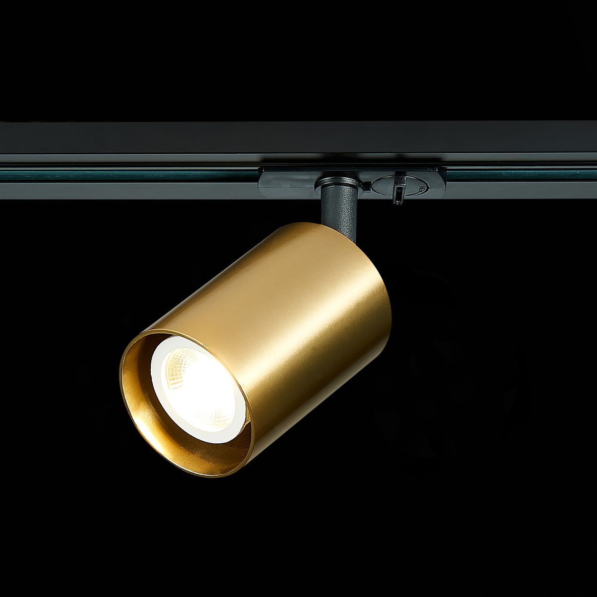 Трековый светильник ST Luce ST302 ST302.206.01