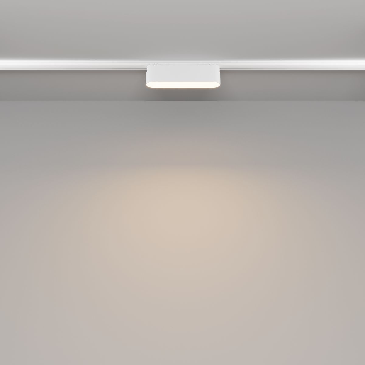 Трековый магнитный светильник Maytoni Basis TR080-1-6W3K-W