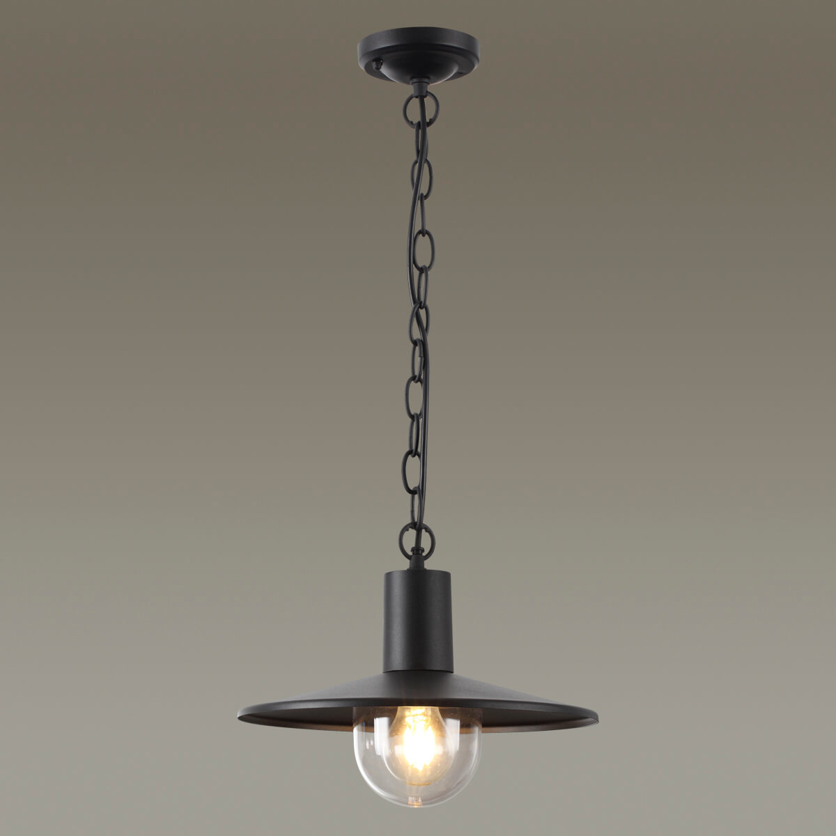 Уличный светильник Odeon Light 4833/1