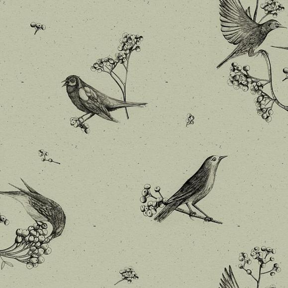 Обои Coordonne 9500073V Sweet Birds Matcha