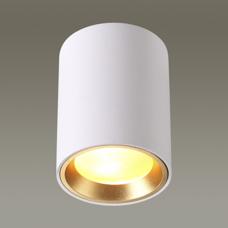 Накладной светильник Odeon Light 4206/1C