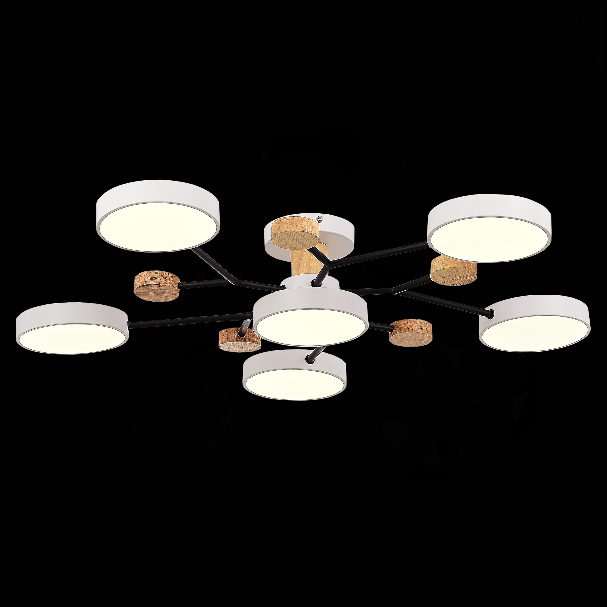 Люстра на штанге Evoluce Faema SLE6006-502-06