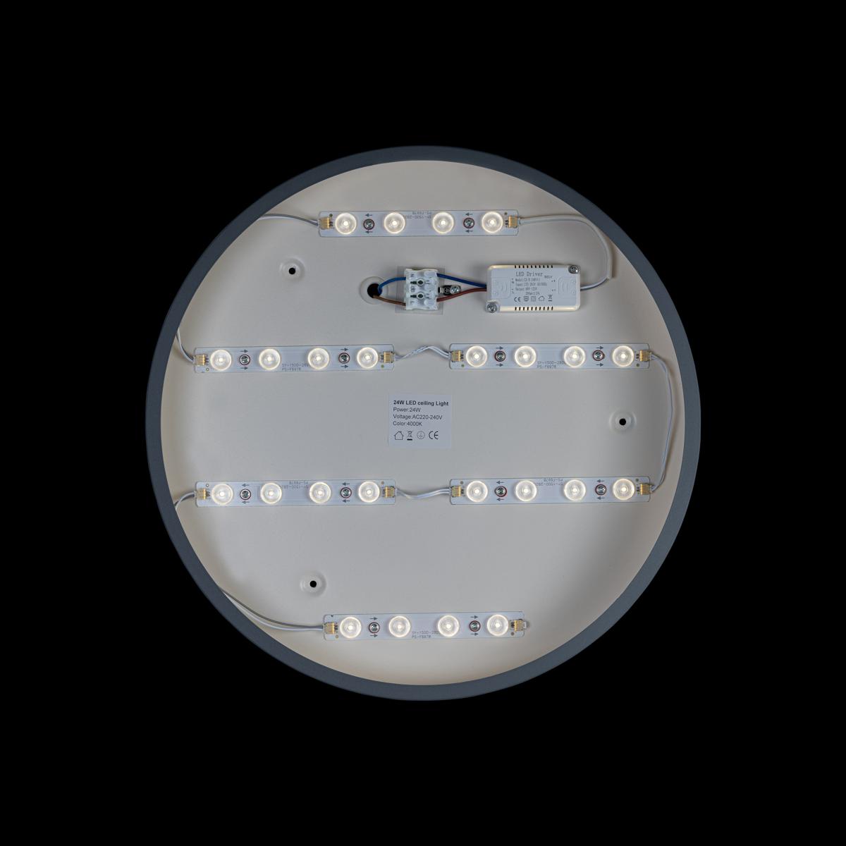 Потолочный светильник Loft IT AXEL 10003/24 Grey
