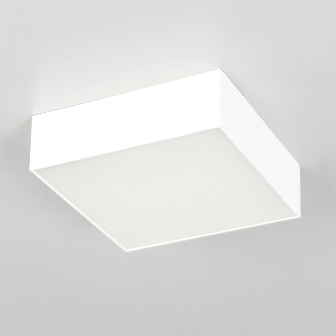 Накладной светодиодный светильник Citilux Тао CL712X120N