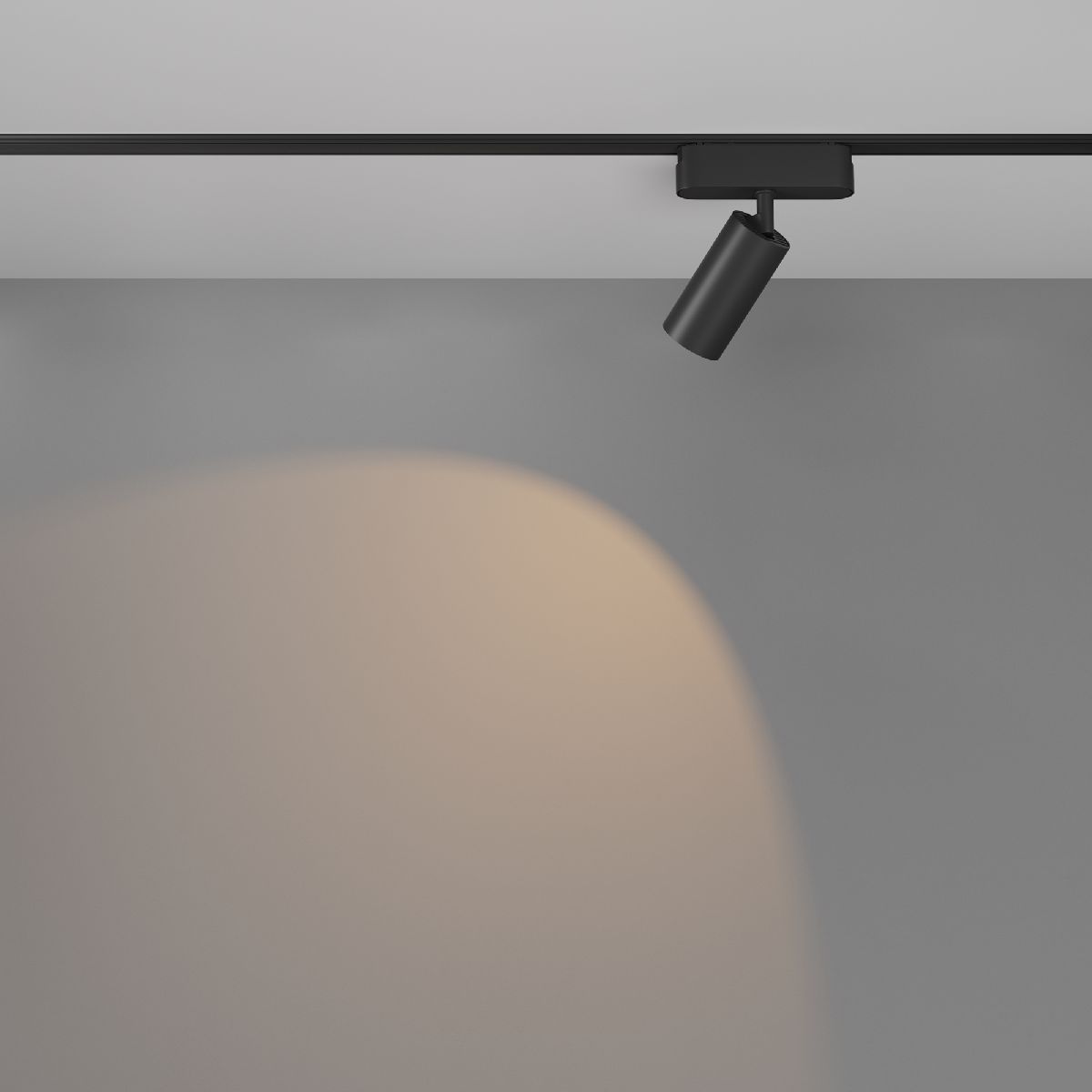Трековый светильник Maytoni Focus LED TR103-1-12W3K-M-B
