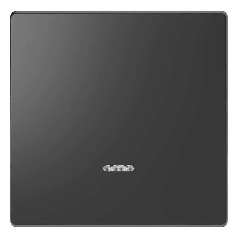 Клавиша одинарная Schneider Electric Merten D-Life MTN3320-6034