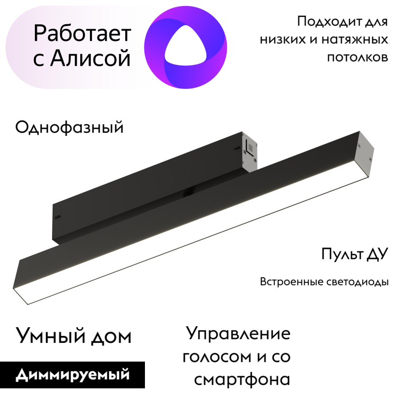Трековый светильник Denkirs DK8018-BK