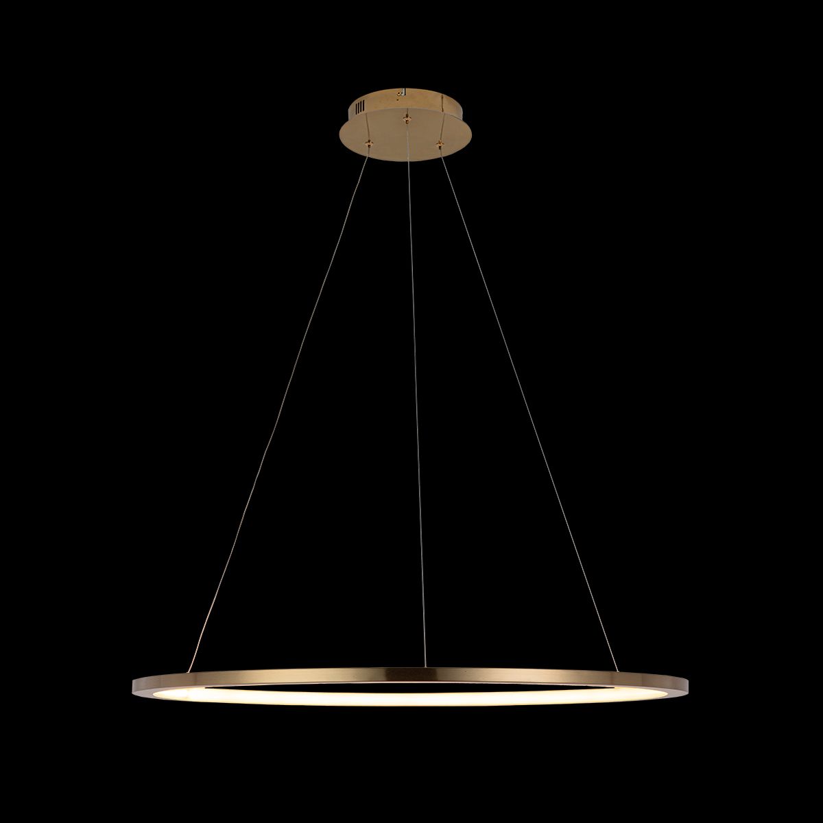 Подвесной светодиодный светильник Loft IT Ring 10014L