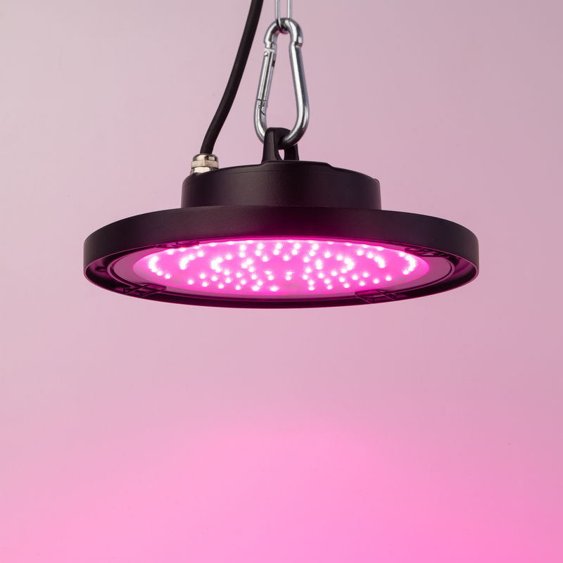 Фитопрожектор для растений Эра FITO-50W-RB-LED-UFO Б0053280