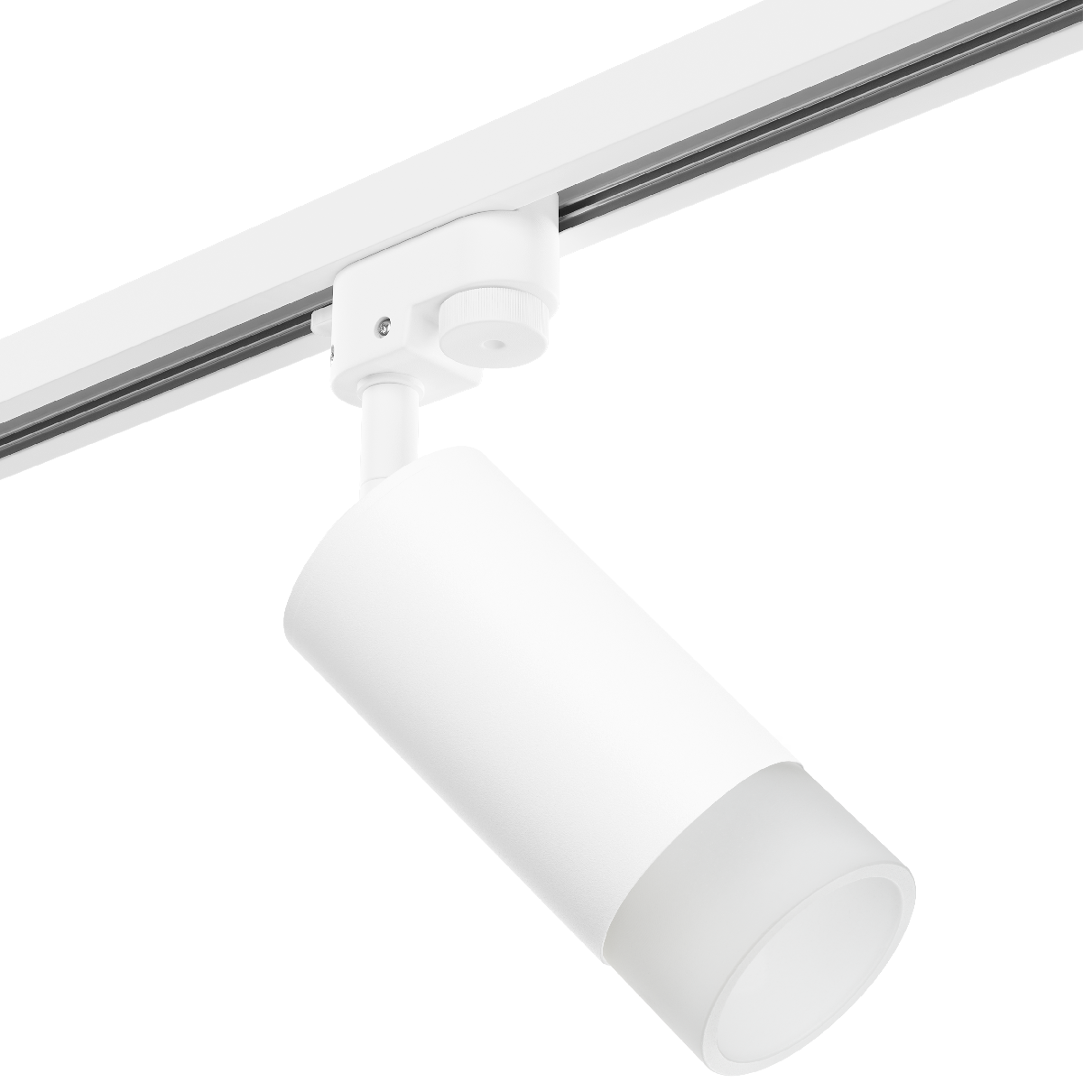 Трековый светильник Lightstar Rullo R1T43631 (214436+592056+202431)