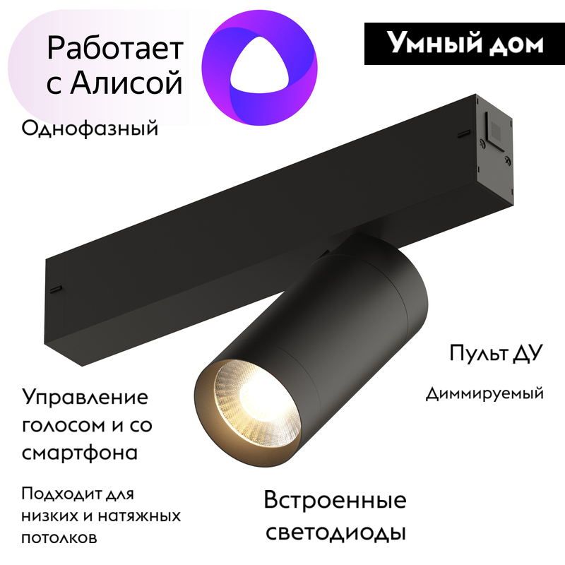 Трековый светильник Denkirs DK8010-BK
