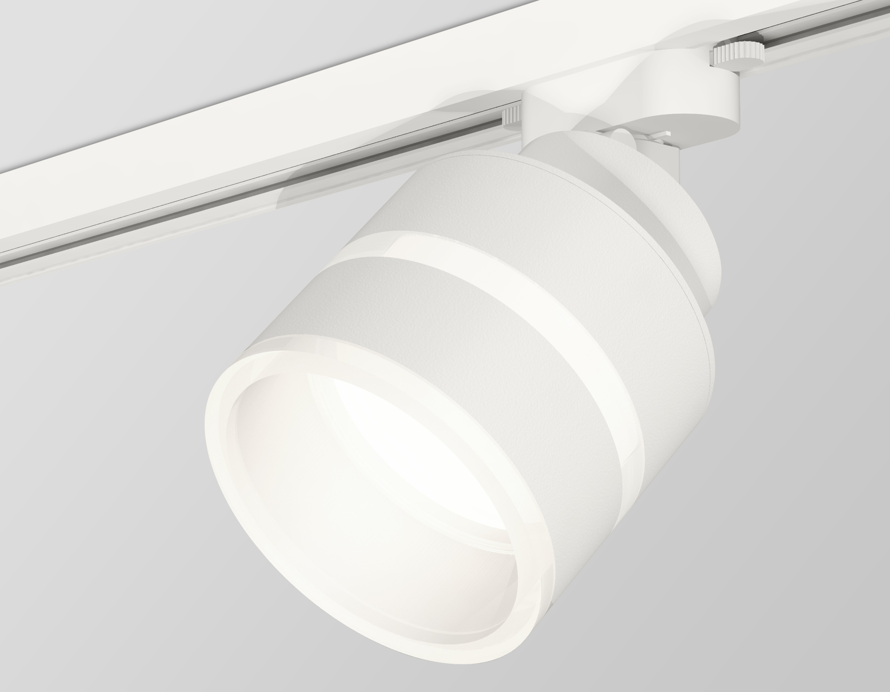 Трековый светильник Ambrella Light Track System XT8101024 (A2524, A2105, C8101, N8444)