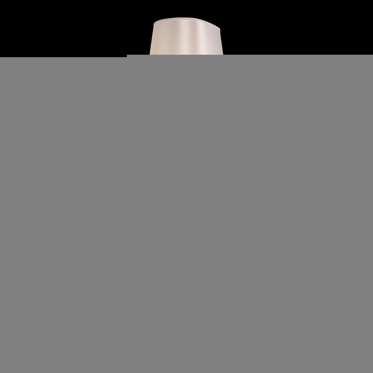 Бра Loft IT Brunilde 10207W/M Chrome
