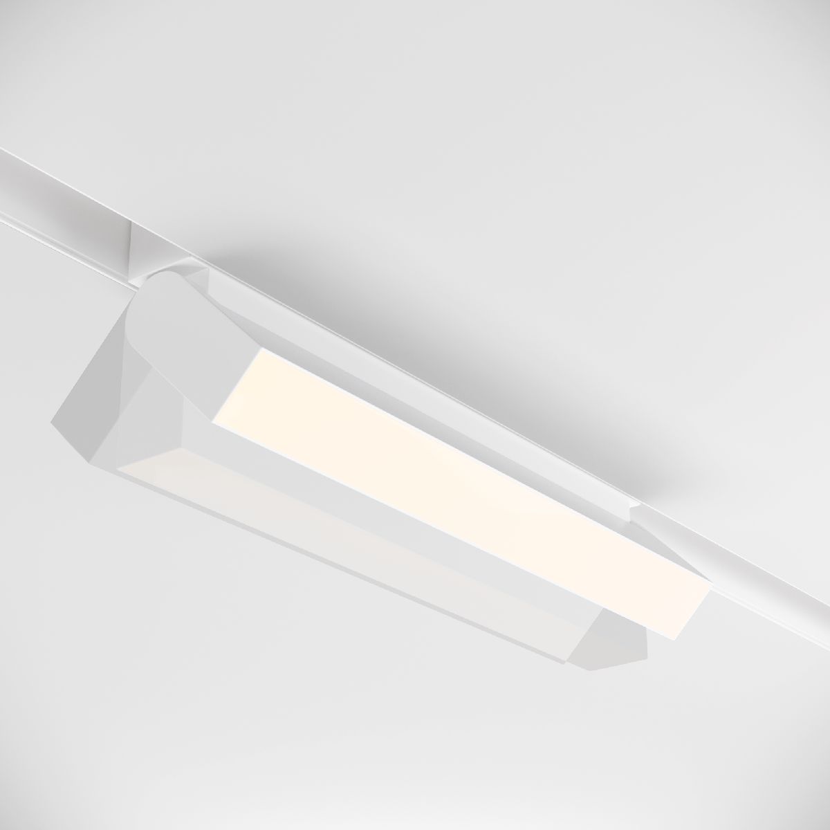 Трековый светильник Maytoni Technical Magnetic track TR013-2-20W4K-W