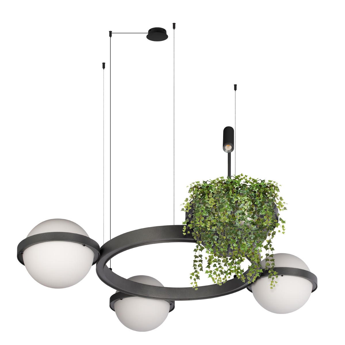 Подвесная люстра Loft IT Jardin 10121/3 Dark grey