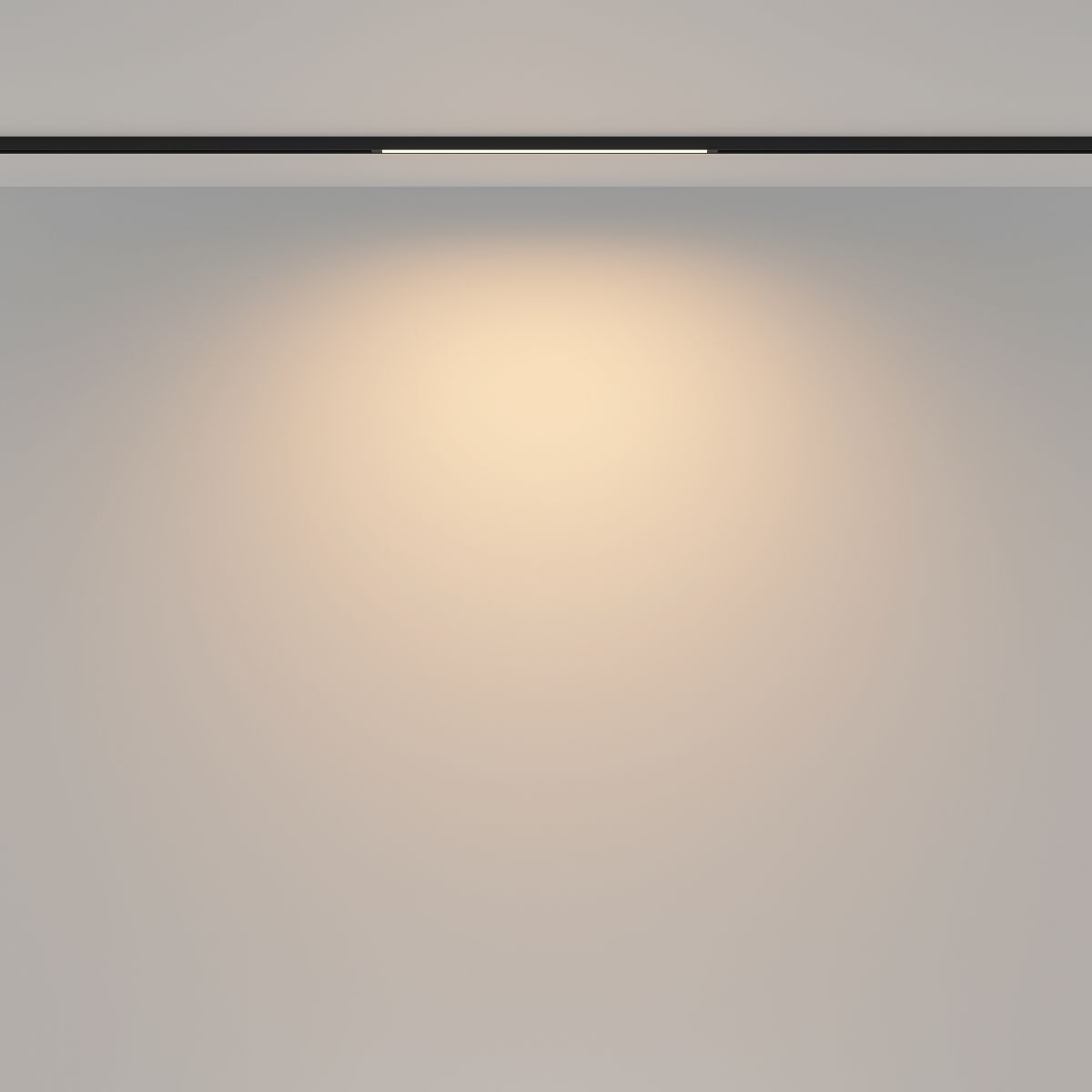 Трековый магнитный светильник Maytoni Basis TR173-1-8WTW-B