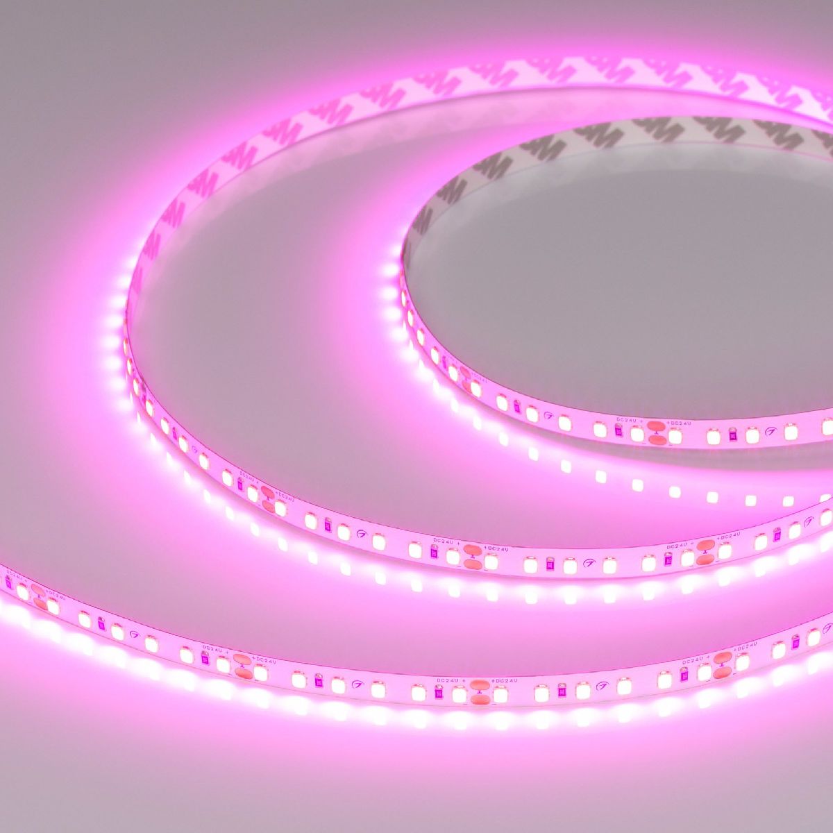 Светодиодная лента Arlight RT-A120-8mm 24V Magenta (9.6 W/m, IP20, 2835, 5m) 043381