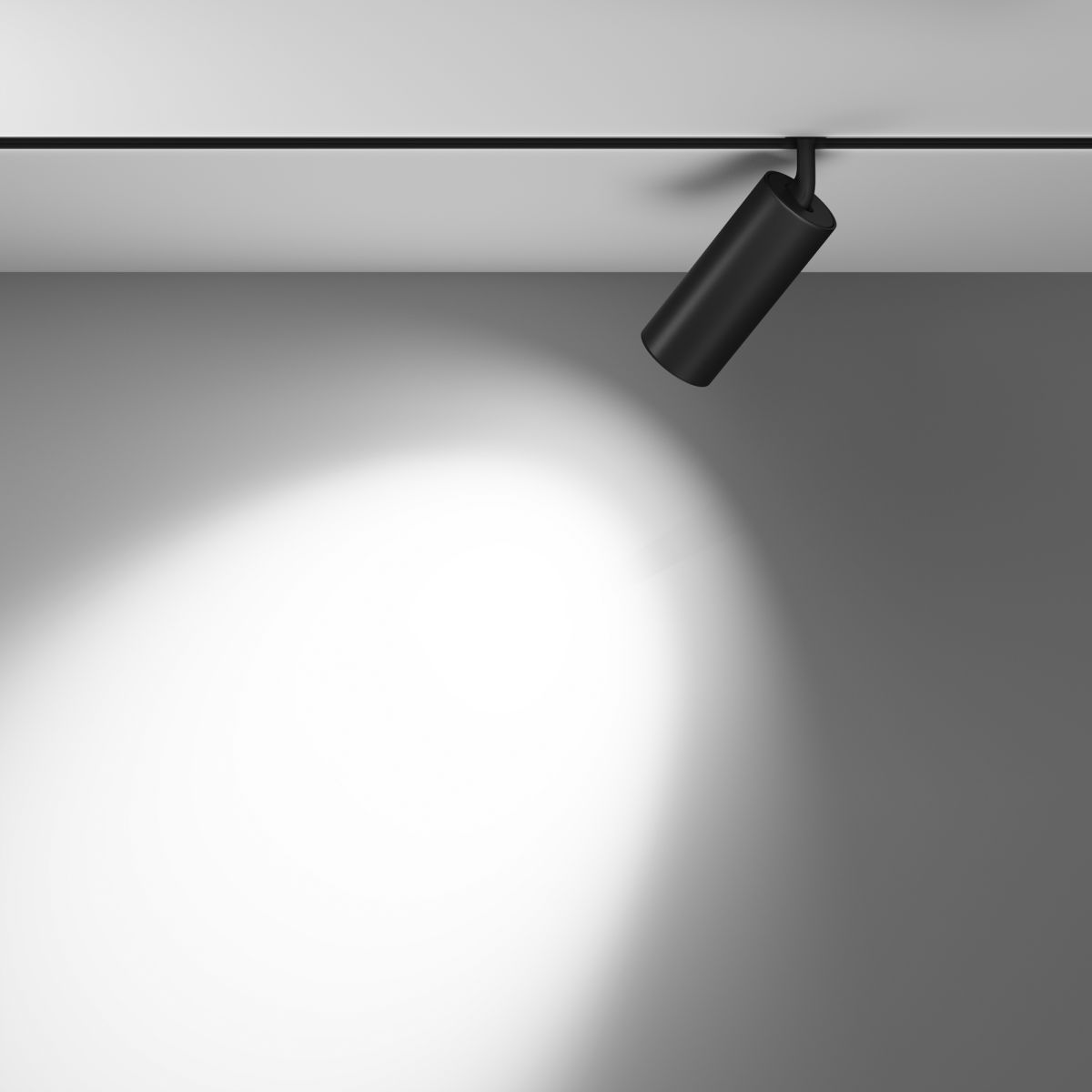 Трековый магнитный светильник Maytoni Focus LED TR032-4-20WTW-M-DSZ-B