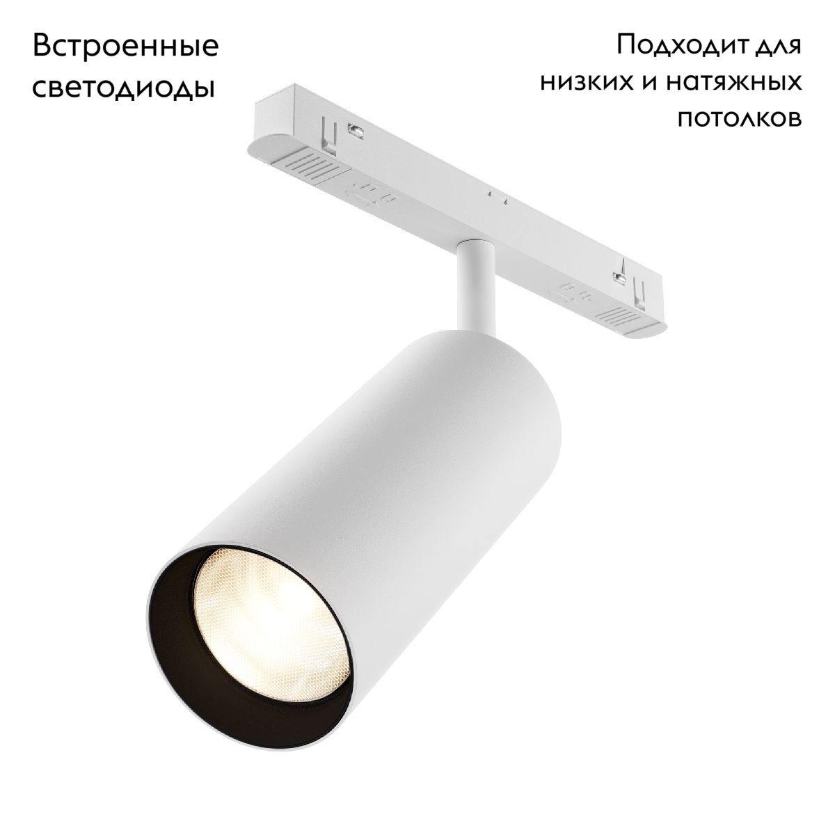 Трековый магнитный светильник Maytoni Focus LED TR032-2-20W3K-S-W