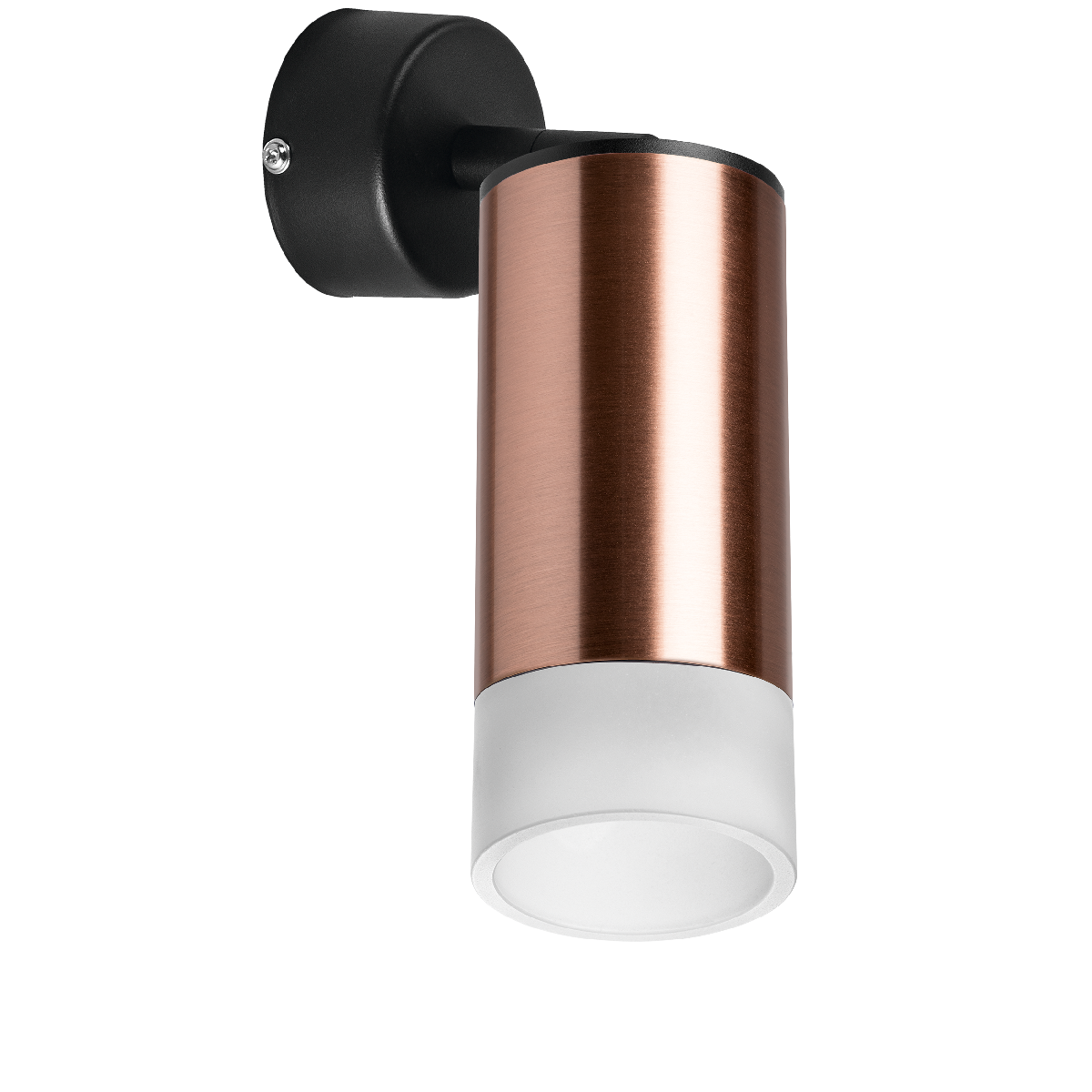 Встраиваемый спот Lightstar Rullo RB43031 (214430+590007+202431)