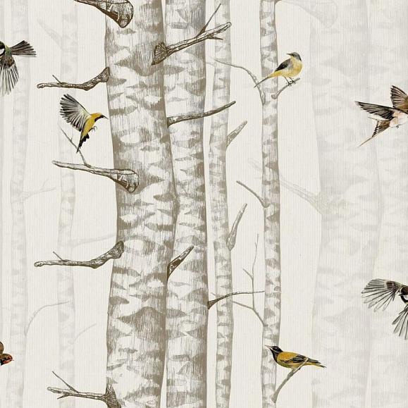 Обои Coordonne 9500041N Birch Trees Beige