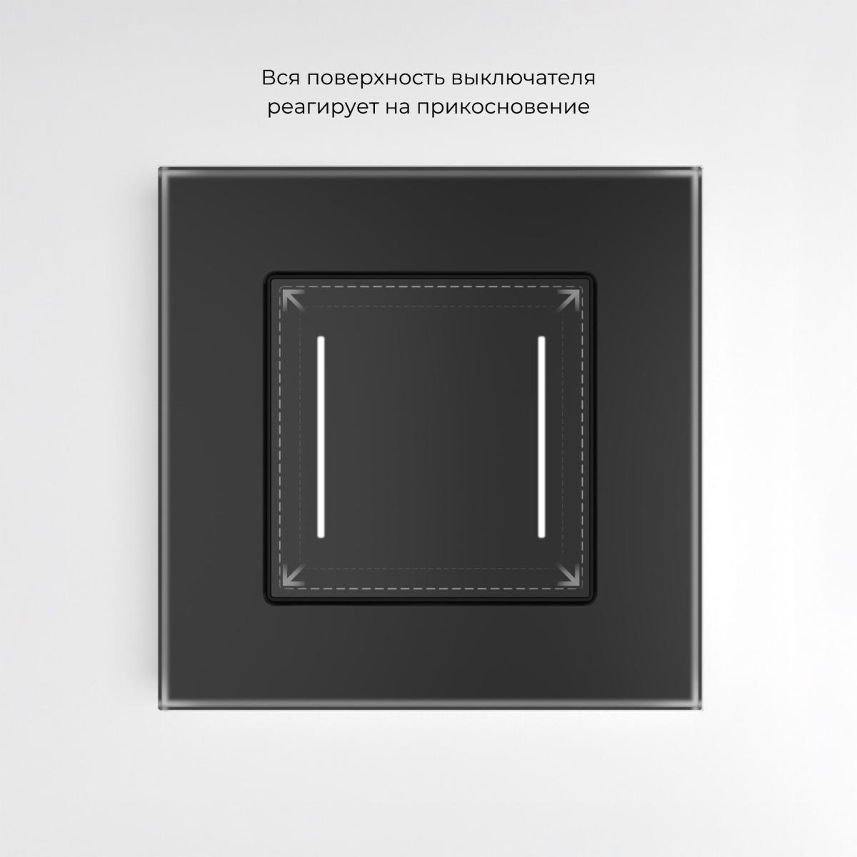 Умный сенсорный выключатель двухклавишный Werkel 4690389197963 W4523008 a064142