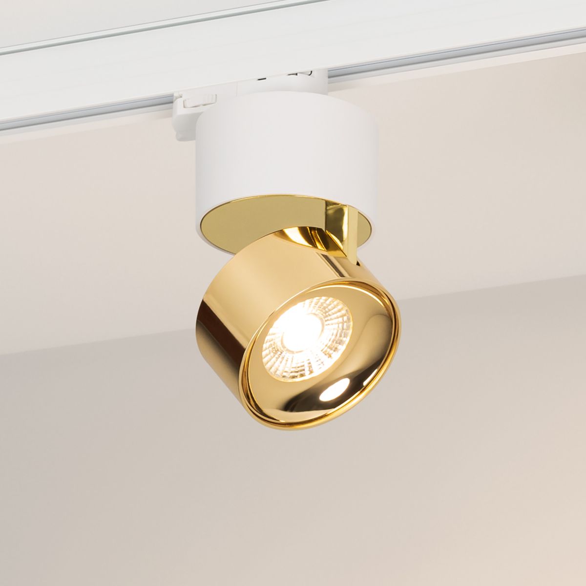 Трековый трехфазный светильник Arlight SP-PLURIO-TRACK-4TR-R77-9W Day4000 (WH-BRS, 36 deg, 230V) (IP20 Металл) 038100