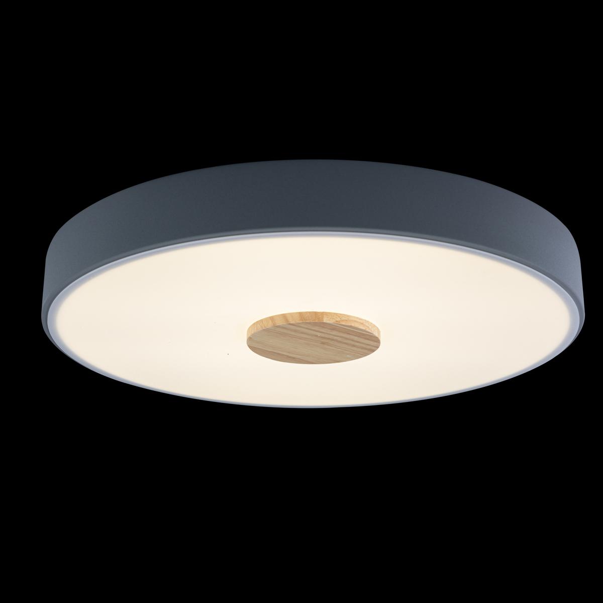 Потолочный светильник Loft IT AXEL 10003/24 Grey
