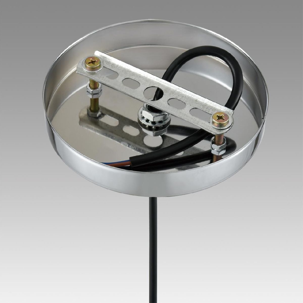 Подвесной светильник Lumion Suspentioni Manola 8049/1A