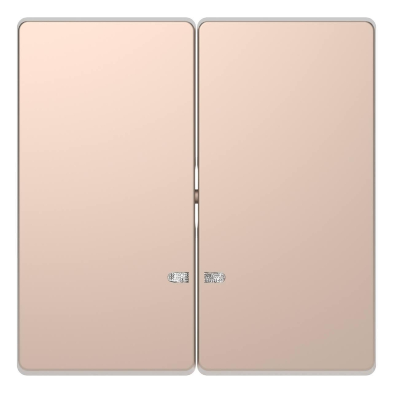 Клавиша двойная Schneider Electric Merten D-Life MTN3420-6051