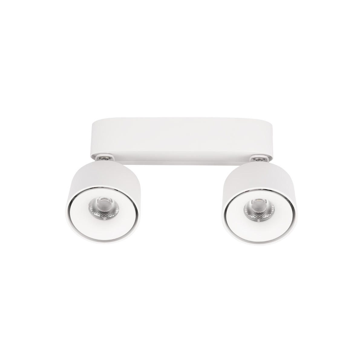 Накладной спот Loft IT Focus 10323/2A White