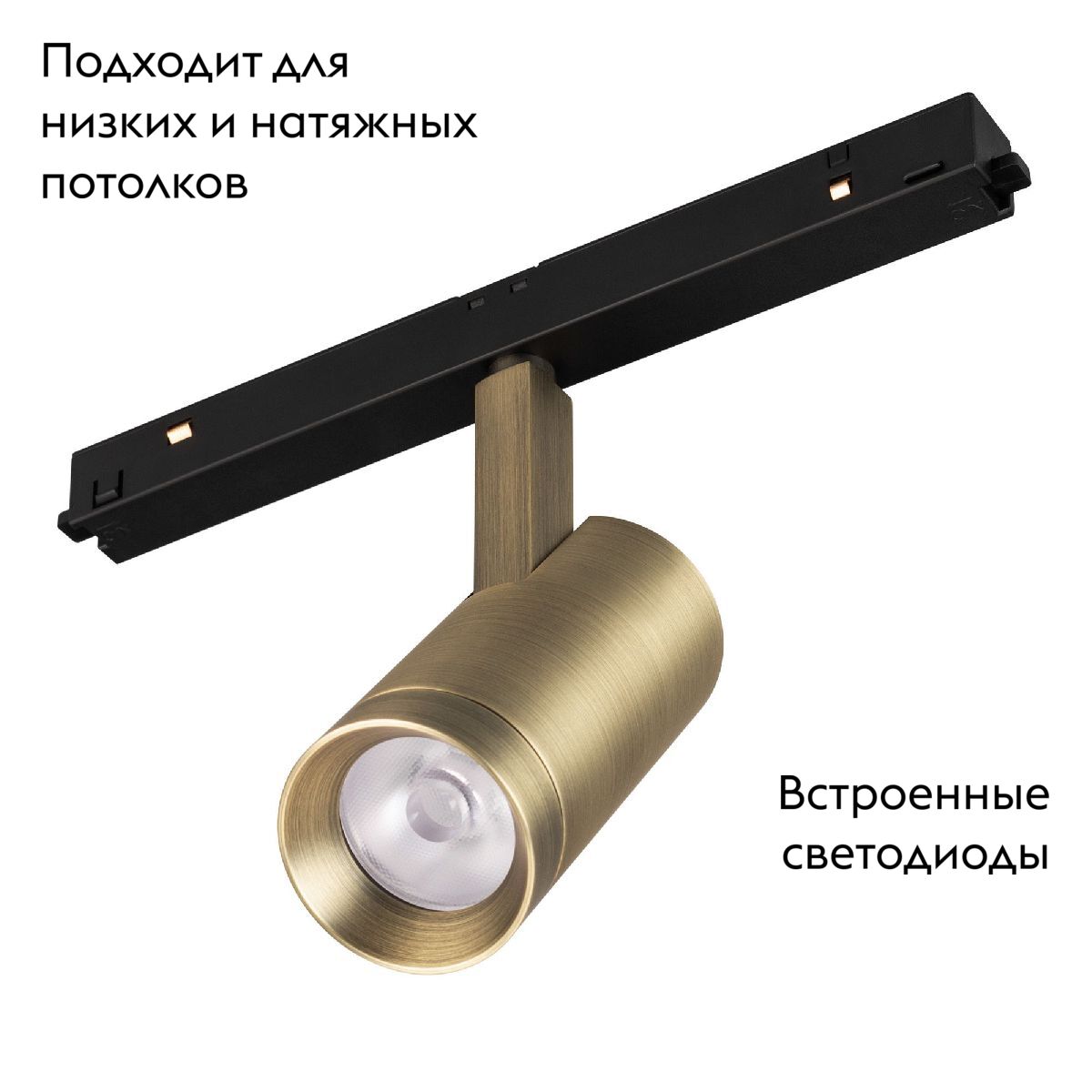 Трековый магнитный светильник Arlight MAG-ORIENT-SPOT-R45-12W Day4000 (BR, 24 deg, 48V) 042259