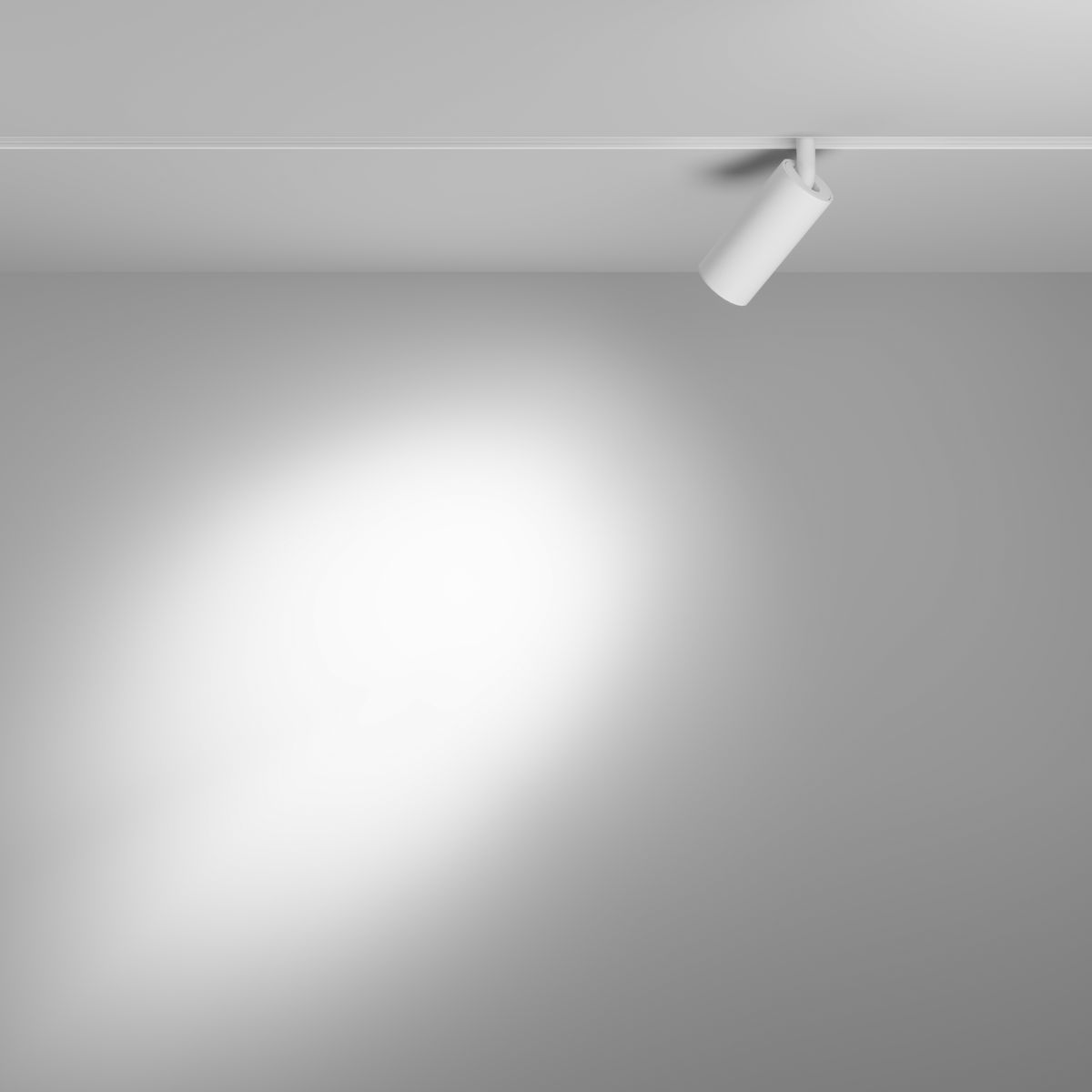 Трековый магнитный светильник Maytoni Focus LED TR032-4-5WTW-M-DSZ-W