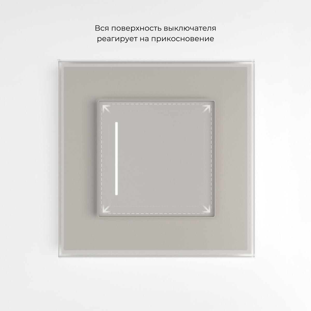 Умный сенсорный выключатель одноклавишный Werkel W4513641 4690389213915