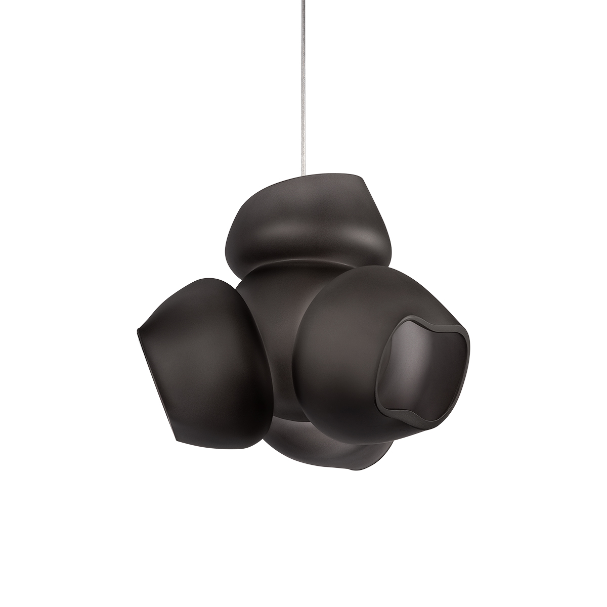 Подвесной светильник LOFT IT Cluster 10467P Black