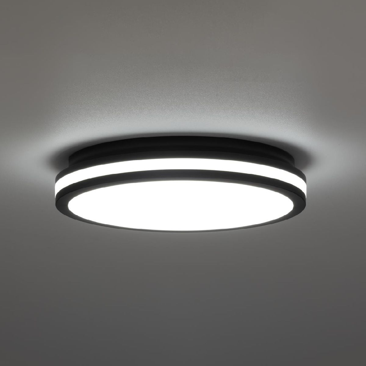 Потолочный светильник Citilux Luns CL711021V