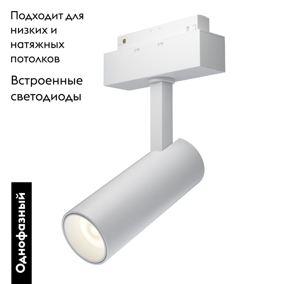 Трековый светильник Maytoni Focus LED TR019-2-10W4K-W