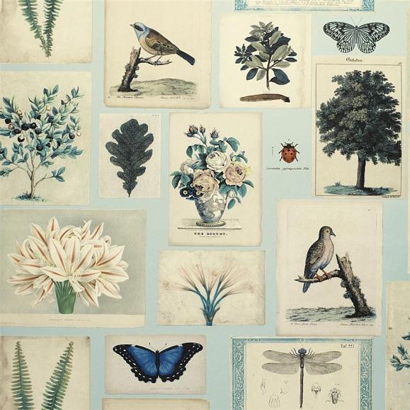 Обои John Derian PJD6001/02 Flora And Fauna Cloud Blue