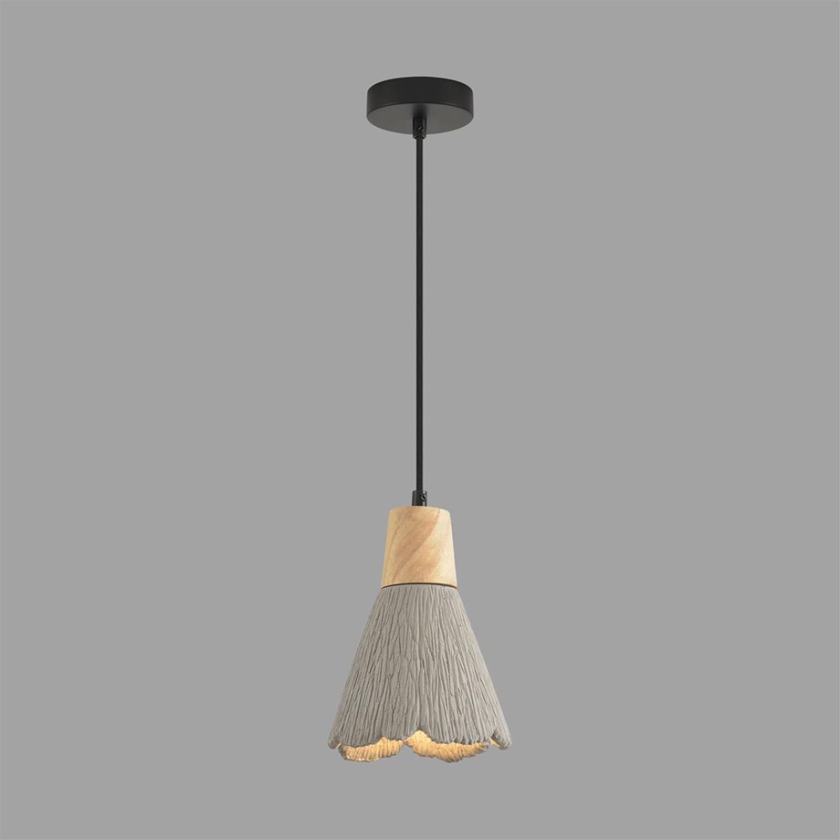 Подвесной светильник Lumion Suspentioni Eoliana 8351/1B
