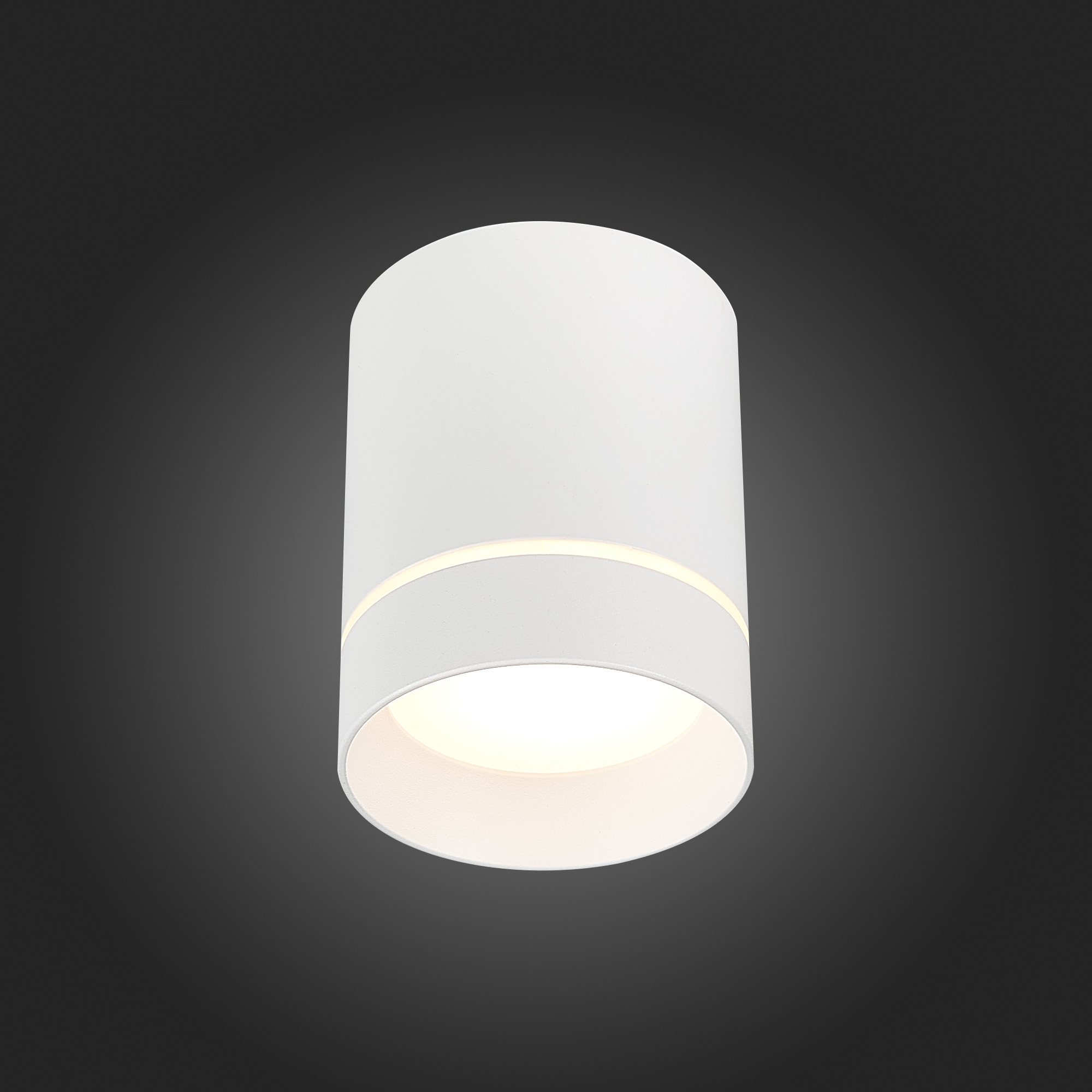 Накладной светильник ST Luce ST115 ST115.532.12