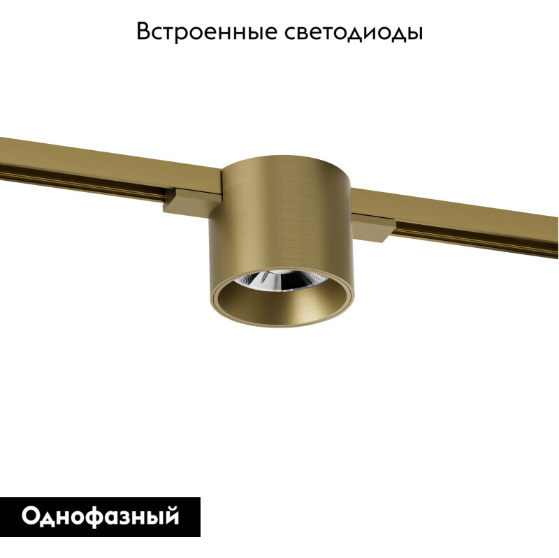 Трековый однофазный светильник Denkirs Shine spot DK5743-SB